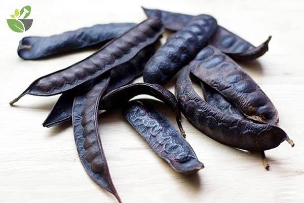 xông nhà bằng bồ kết