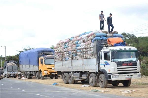 Tải trọng xe những quy đinh về tải trọng