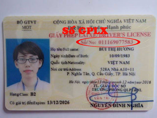 tra cứu giấy phép lái xe