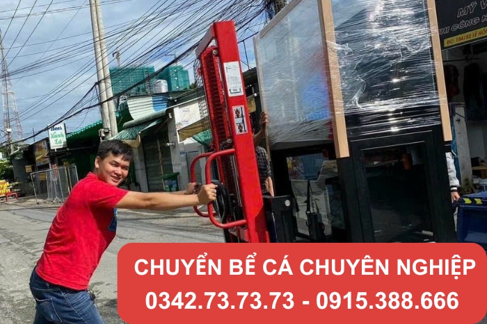 Thành Hưng cung cấp phương pháp chuyển bể cá an toàn