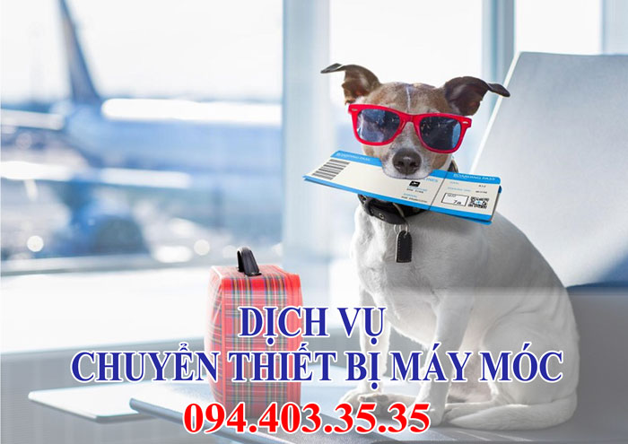 Dịch vụ vận chuyển thú cưng Dịch vụ vận chuyển thú cưng