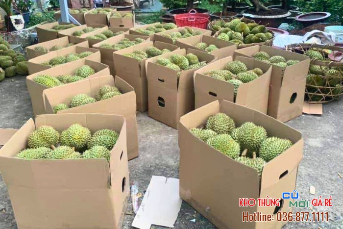 Sử dụng thùng carton có chất liệu chắc chắn để đựng trái cây