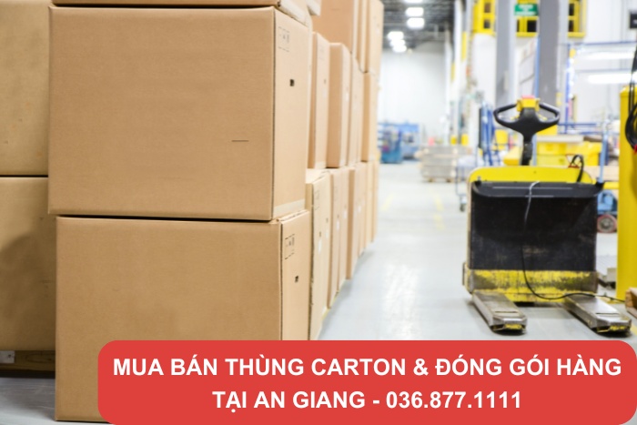 Thành Hưng cung cấp dịch vụ đóng hàng chuyên nghiệp