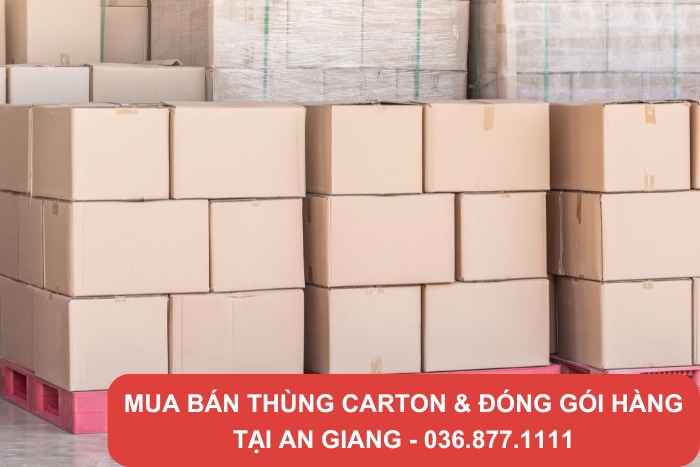 Nhu cầu sử dụng thùng carton đóng hàng tại An Giang khá cao