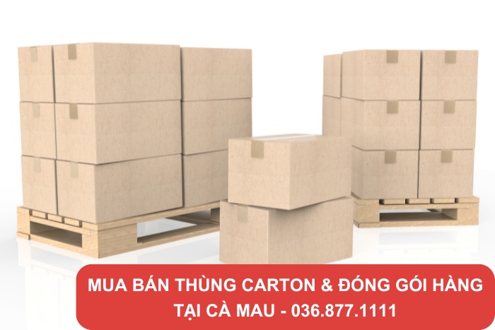 Tổng Kho Thùng Thành Hưng cung cấp đa dạng thùng carton Cà Mau