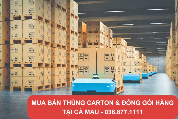 Thùng carton để đóng gói, bảo quản hàng hóa ngày càng trở nên thiết yếu