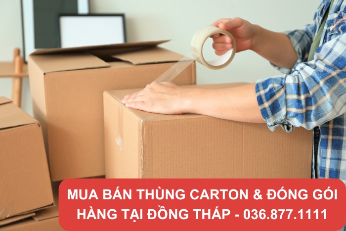 Nhu cầu sử dụng thùng carton Đồng Tháp rất cao