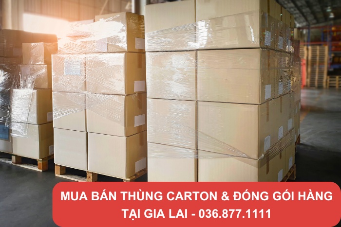 Tổng kho thùng Thành Hưng là địa chỉ bán thùng carton Gia Lai uy tín