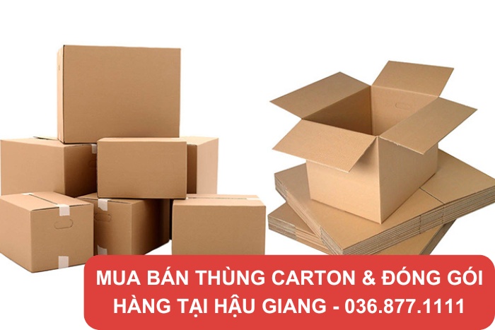 Nhu cầu sử dụng thùng carton tại Hậu Giang để đựng nông sản khá cao