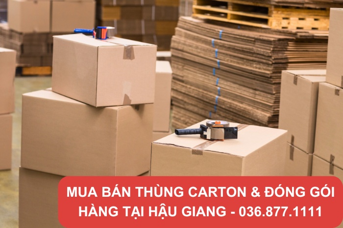 Thùng carton để đóng gói và vận chuyển sản phẩm
