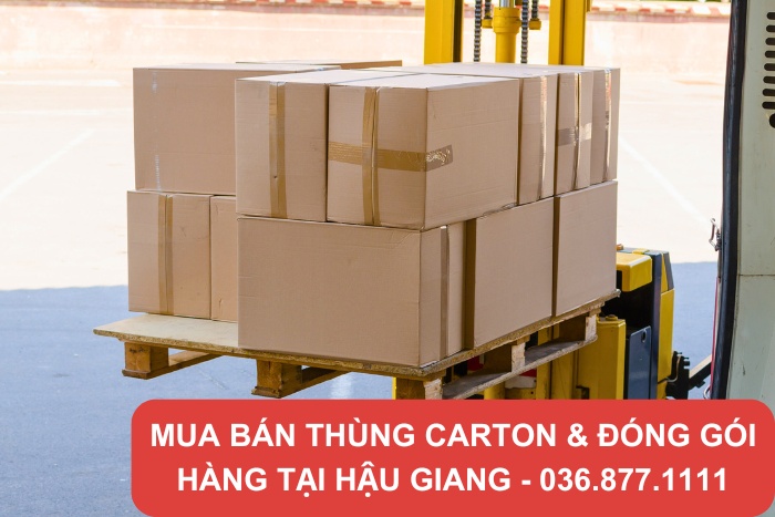 Thành Hưng cam kết cung cấp thùng carton Hậu Giang chất lượng, giá rẻ