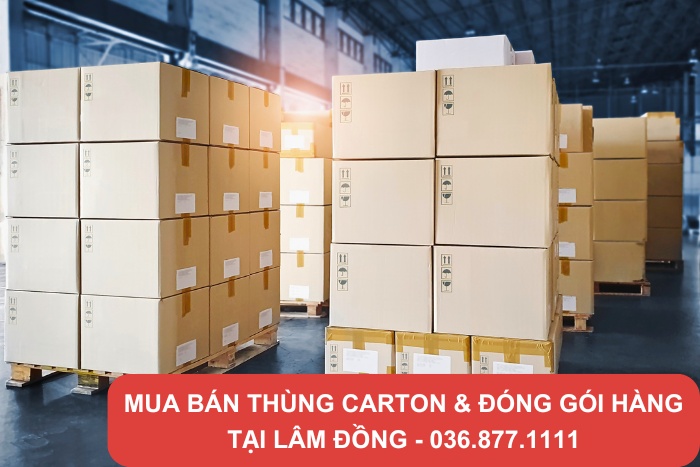 Thùng carton là bao bì đóng gói phổ biến tại Lâm Đồng