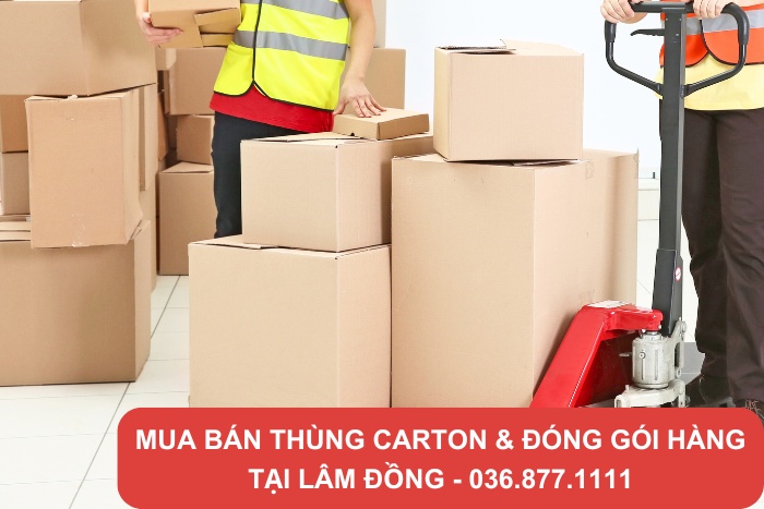 Tổng kho thùng Thành Hưng cung cấp thùng carton Lâm Đồng với chất lượng vượt trội