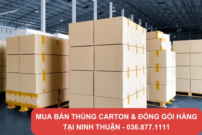 Nhu cầu sử dụng thùng carton tại Ninh Thuận rất lớn