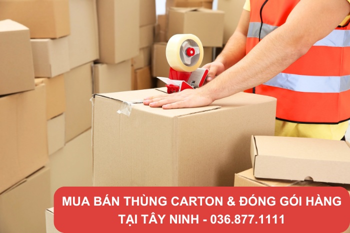 Sử dụng thùng carton giúp bảo vệ hàng hóa tối ưu
